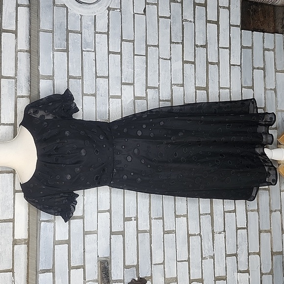 NWT NY Collection A-Line Dress Women’s Small Black Polka Dot Short Sleeve Lined - Picture 2 of 13